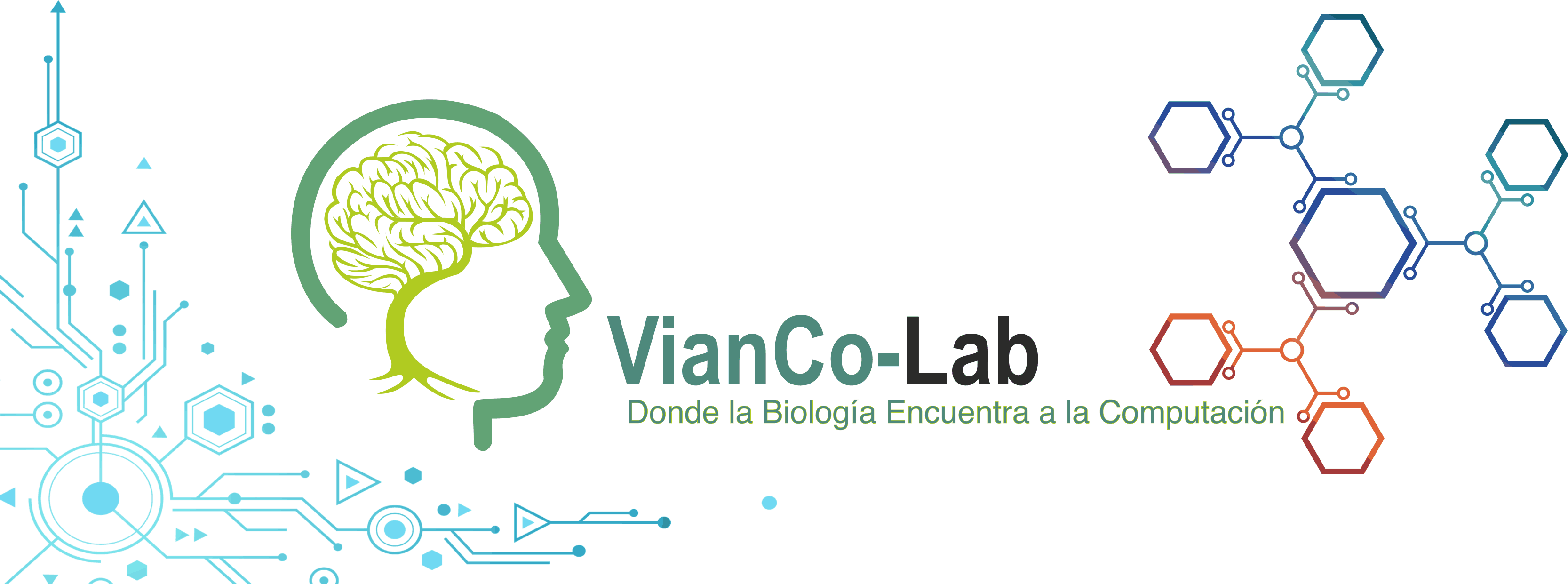 Vianco-Lab